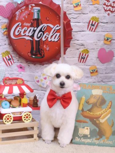 20230923うみちゃん